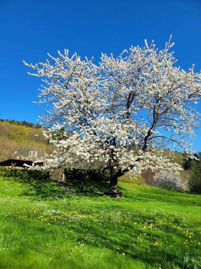 Blue Pension Svoboda nad Upou Luaran gambar