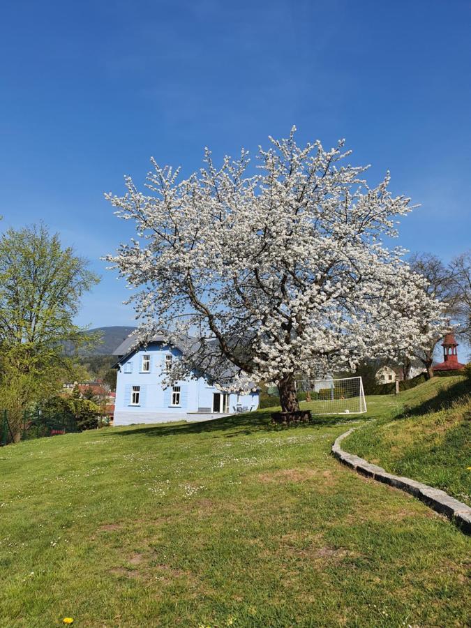 Blue Pension Svoboda nad Upou Luaran gambar